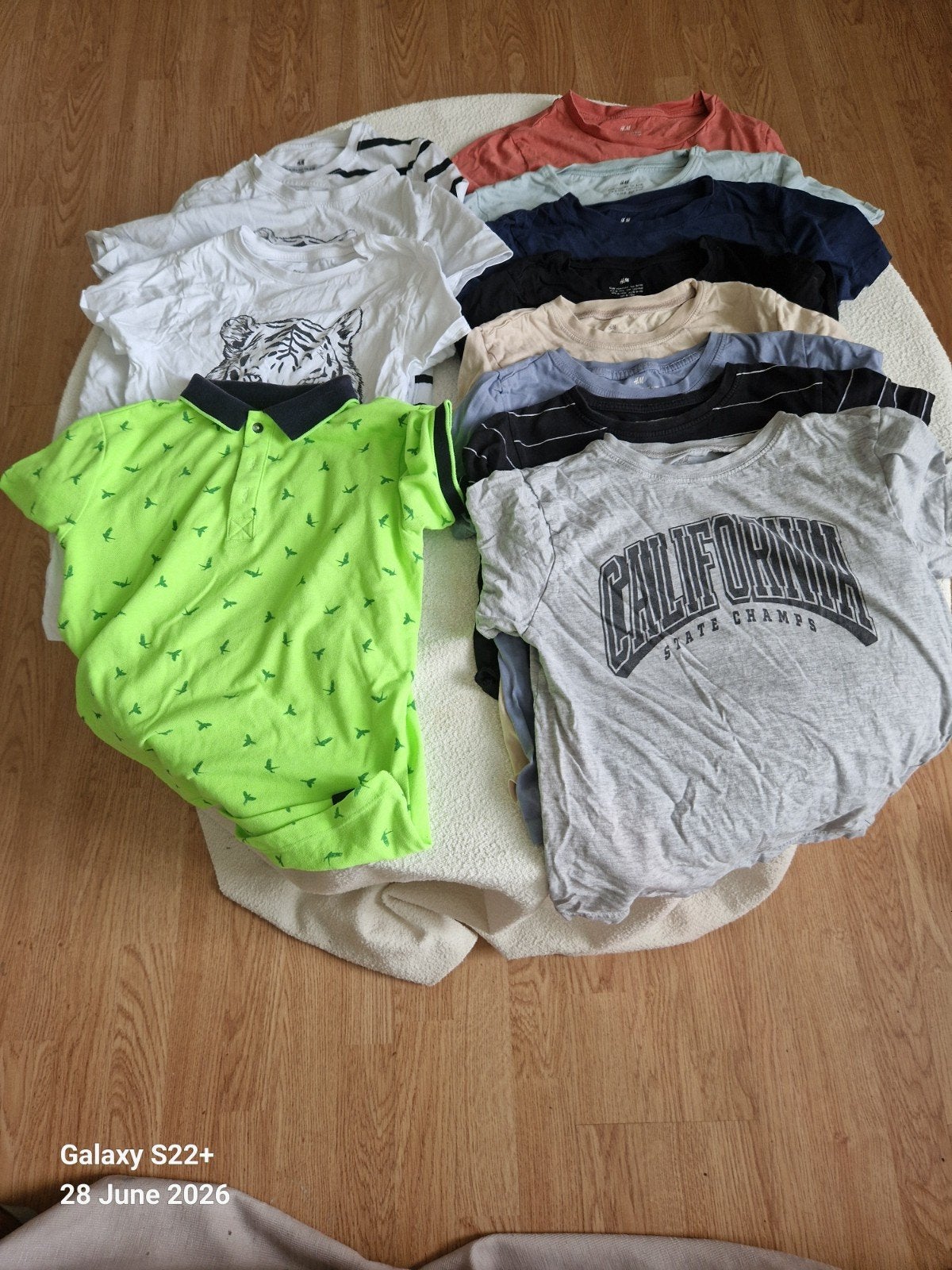 H&M Jongens Zomer Shirts Maat 134-140 x12 stuks, Kinderen en Baby's, Kinderkleding | Maat 134, Gebruikt, H&M, Ophalen of Verzenden