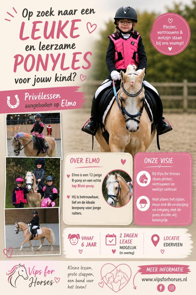 Priveles pony en ZZL paard en lease, Paardrijles of Ponykampen