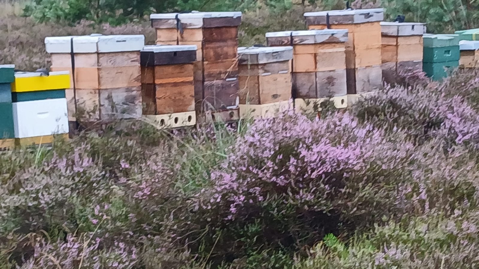 Homing in emmer, Diversen, Ophalen