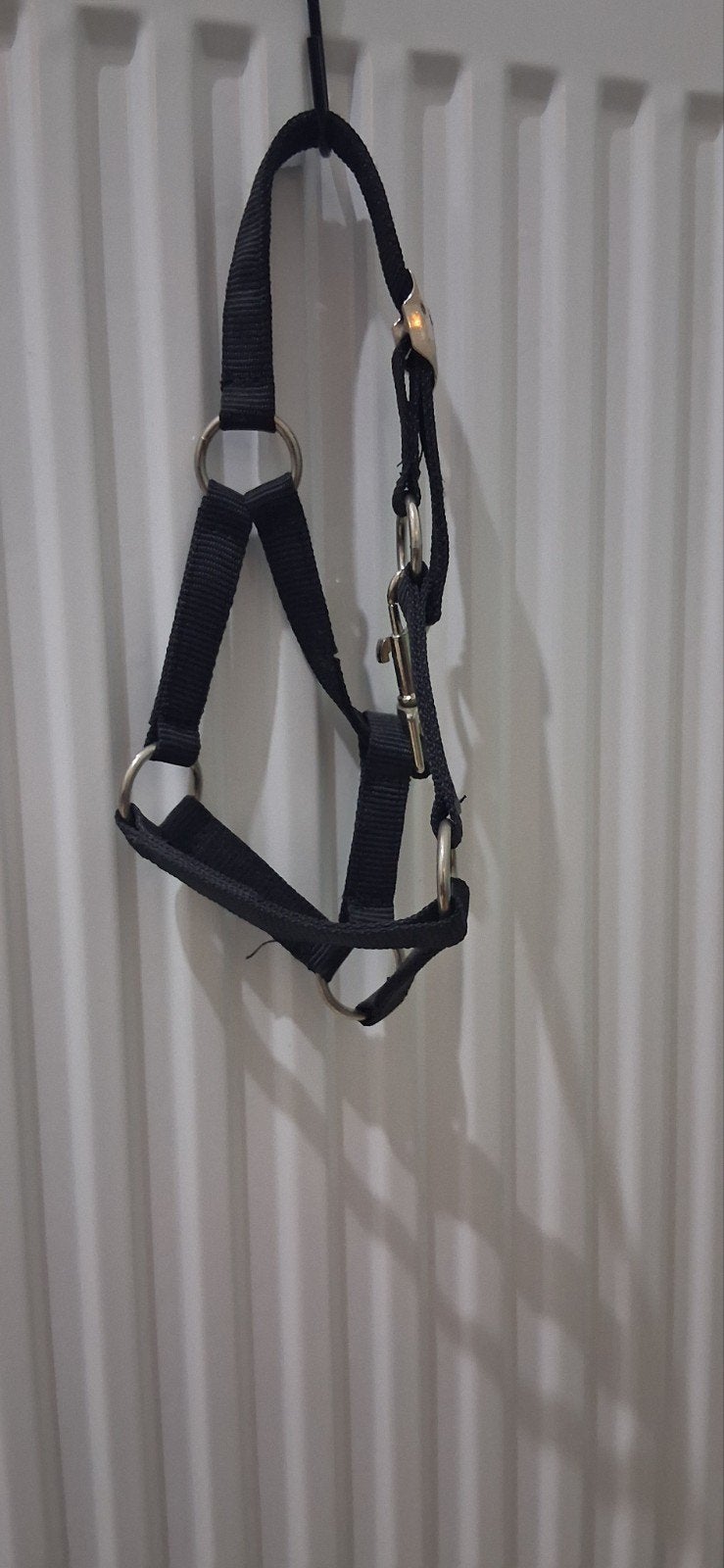 Zwart hobby horse halster, Ophalen of Verzenden, Nieuw, Overige disciplines