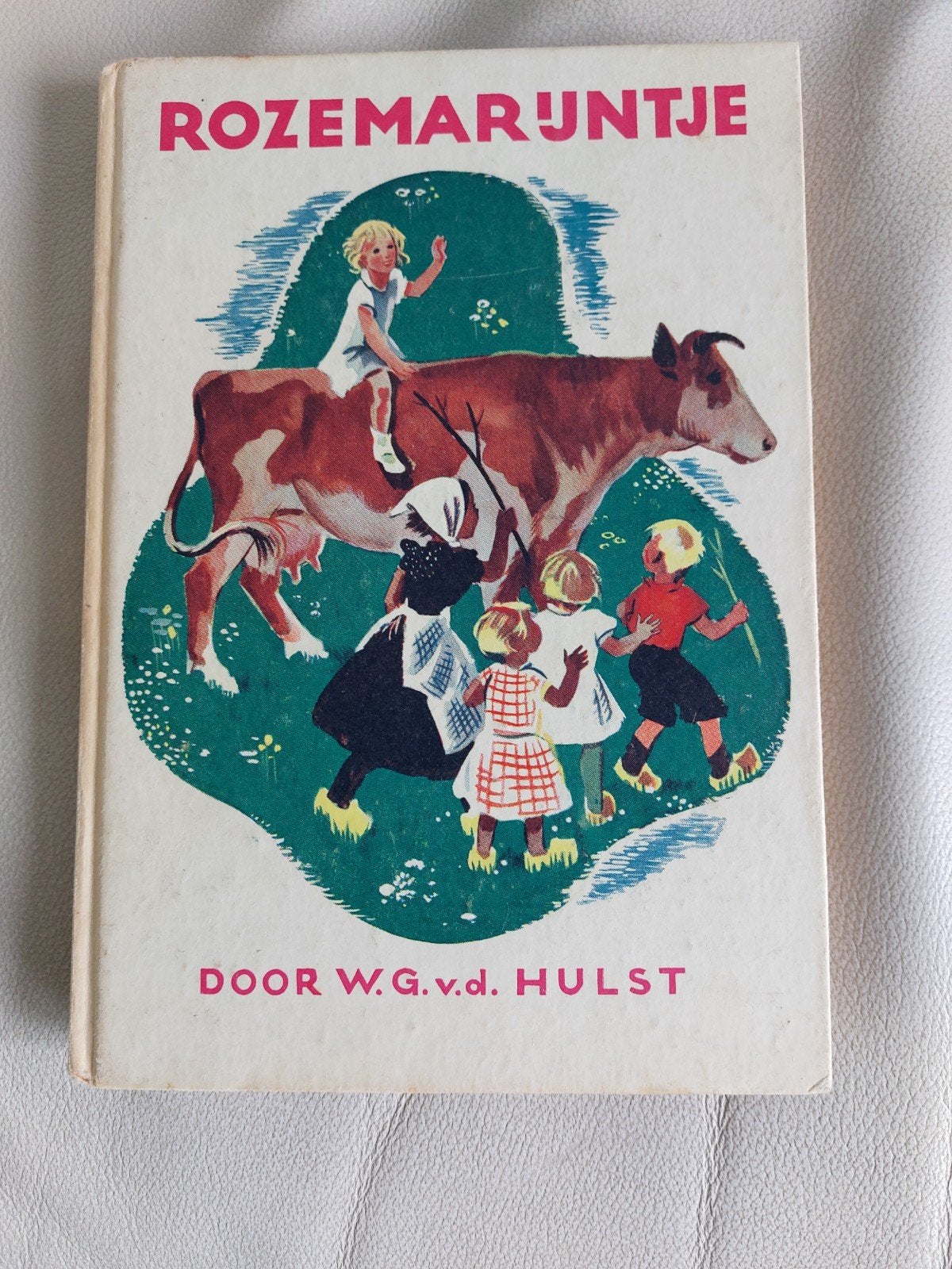 Boek Rozemarijntje door W.G v.d.Hulst, Gelezen, Fictie algemeen, Verzenden, W.G. van de Hulst