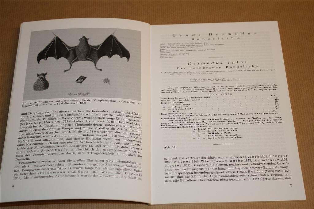 Vampirfledermäuse. Boek over Vampiervleermuizen., Ophalen of Verzenden, Gelezen