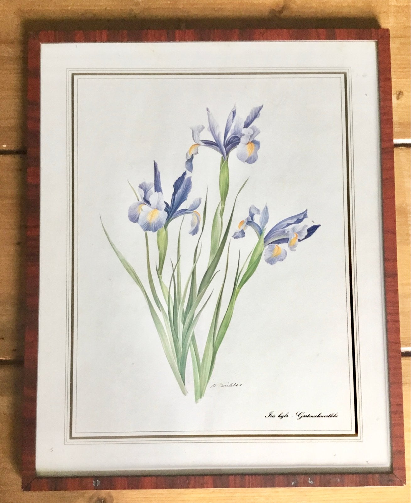 BOTANISCH SCHILDERIJ MET IRISSEN 37,5 X 30,5 CM., Huis en Inrichting, Woonaccessoires | Schilderijen, Tekeningen en Foto's, Ophalen of Verzenden