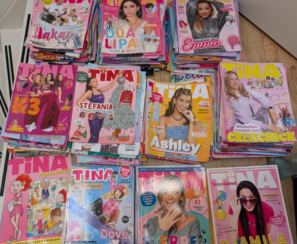 Tina's van 2019-2025 en overig, Ophalen, Gelezen