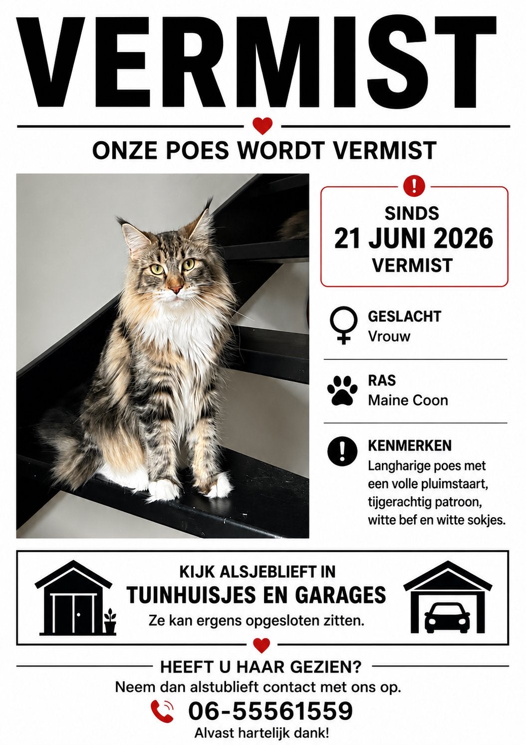 Vermiste kat, Dieren en Toebehoren, Kat
