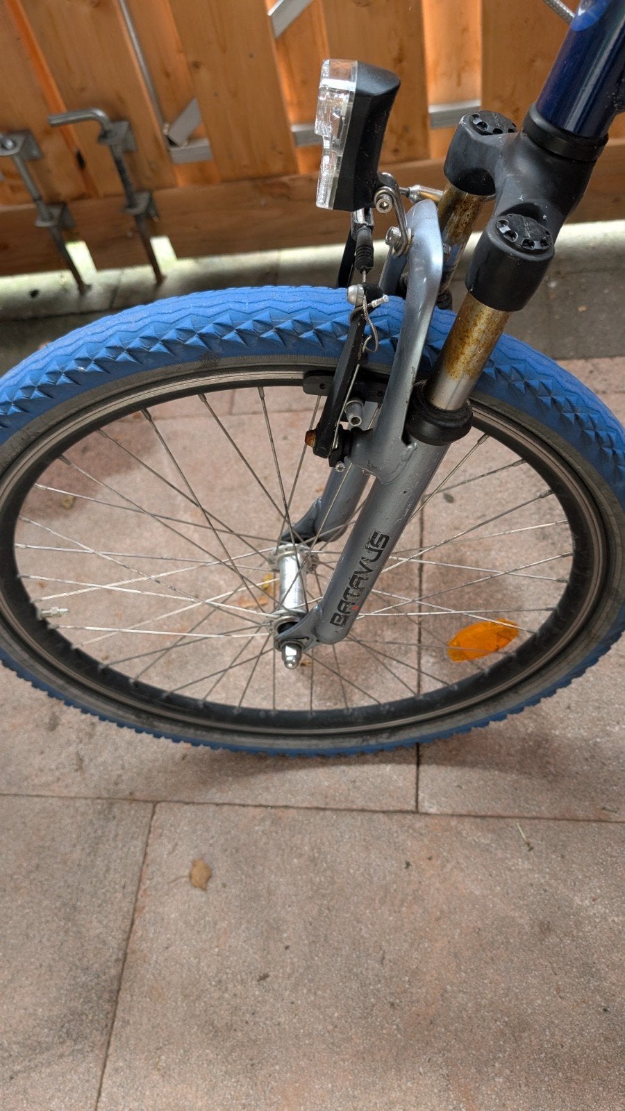 Foto 9 van Batavus Snake 24 Inch