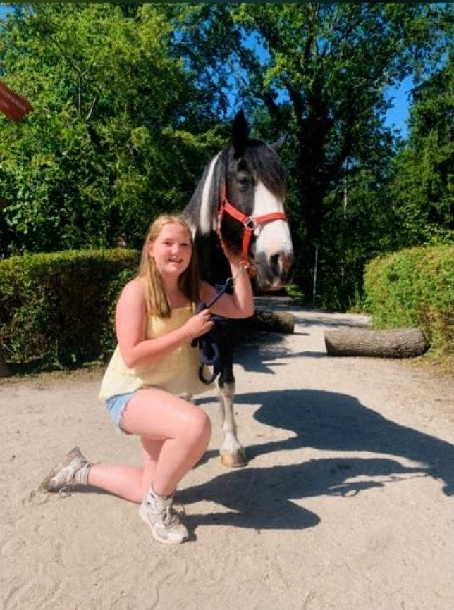 Verzorg pony gezocht, Ophalen of Verzenden, Nieuw