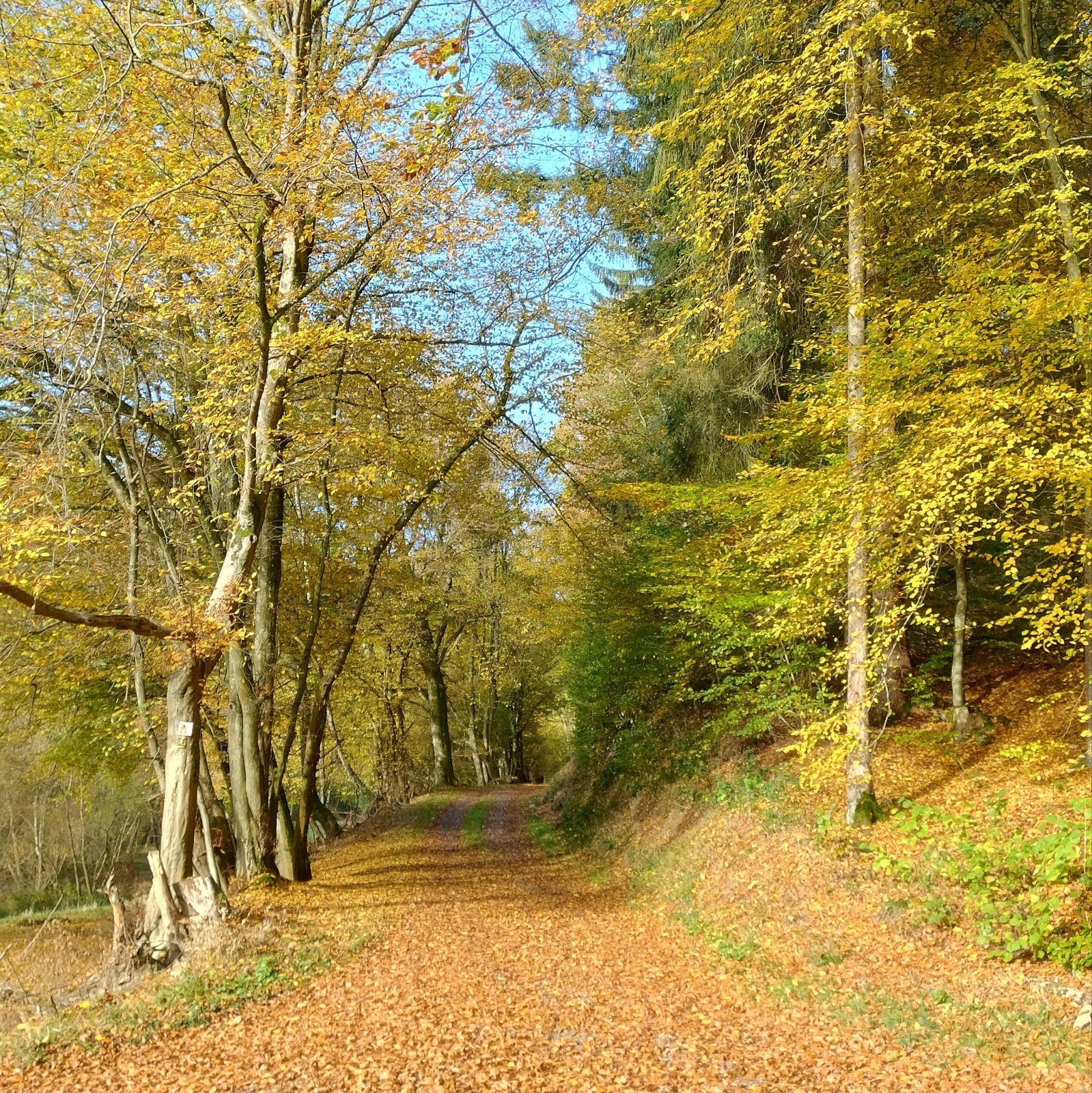 4-daagse wandelretraites voor vrouwen Duitsland, Vakantie, Vakantie | Groepen en Rondreizen