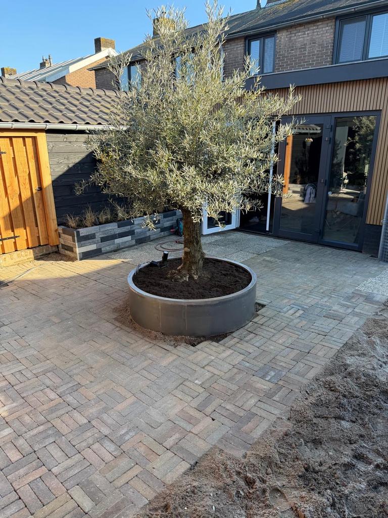 Ronde Cortenstalen plantenbak 150cm diameter 40 cm hoog, Tuin en Terras, 100 cm of meer, Rond, Nieuw, Ophalen of Verzenden