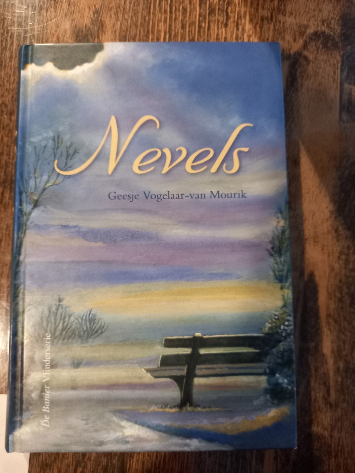 Nevels - Geesje Vogelaar-van Mourik (roman over dementie), Boeken, Ophalen of Verzenden, Zo goed als nieuw, Geesje Vogelaar-van Mourik