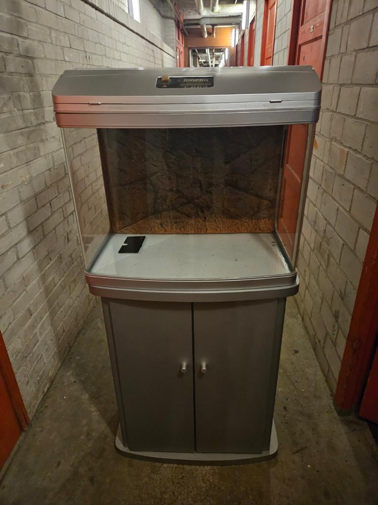 Aquarium, Dieren en Toebehoren