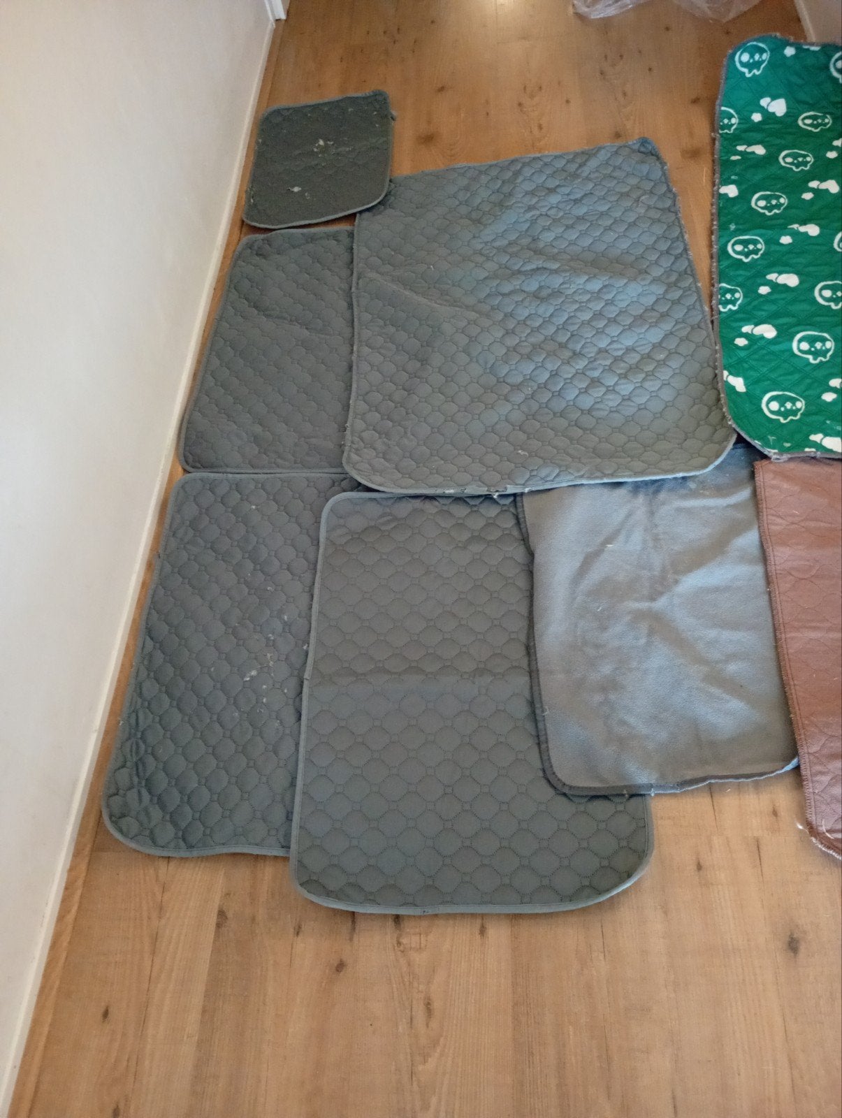 Gratis konijnen Padd ook voor cavia's geschikt, Dieren en Toebehoren, Ophalen