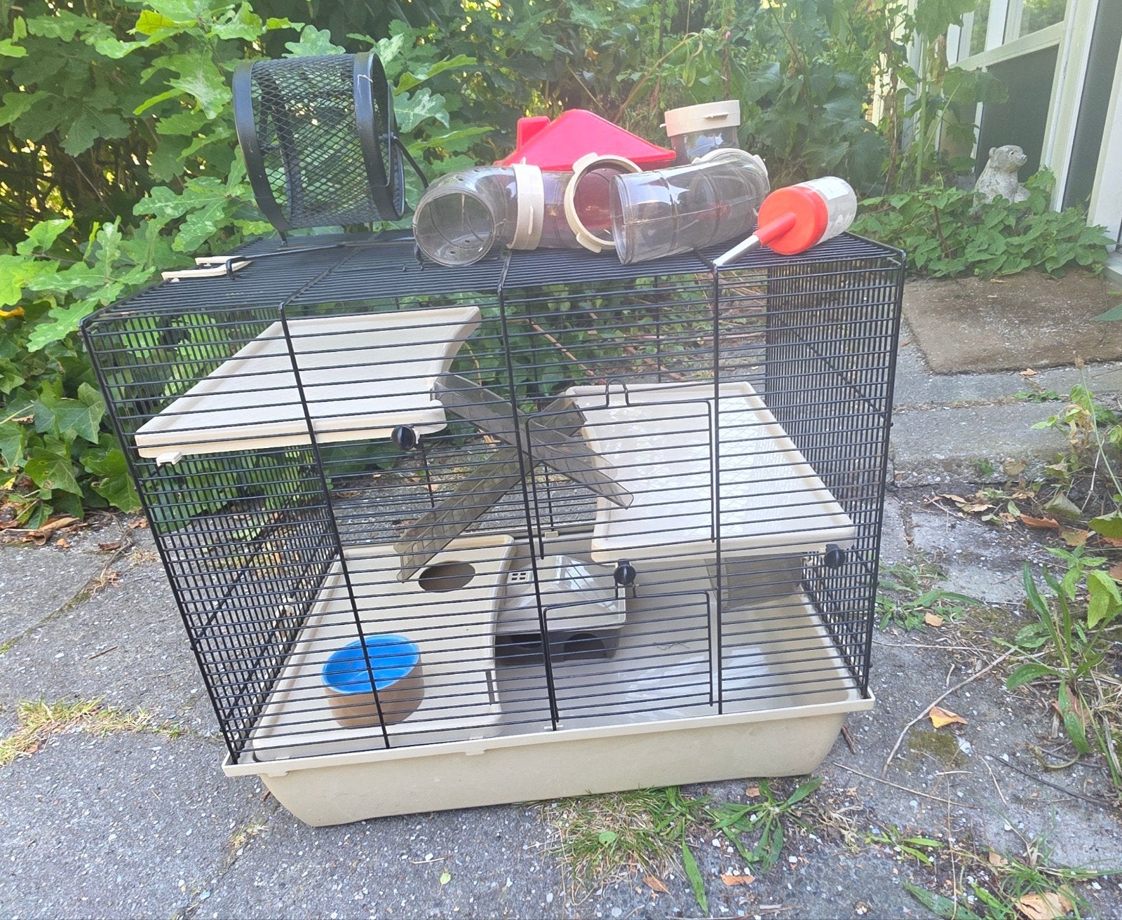 hamsterkooi, Ophalen, Loopwiel of Rad