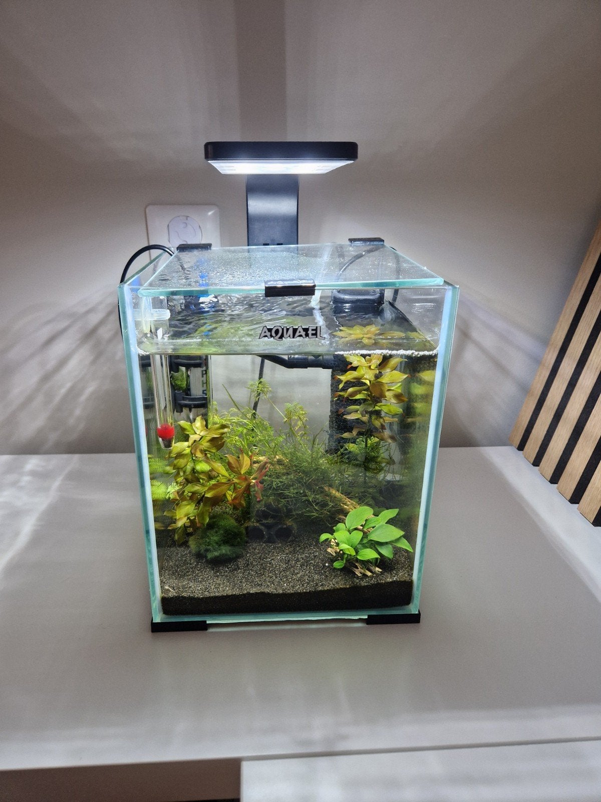 Garnalen kweekbakje 10 liter, Ophalen, Leeg aquarium