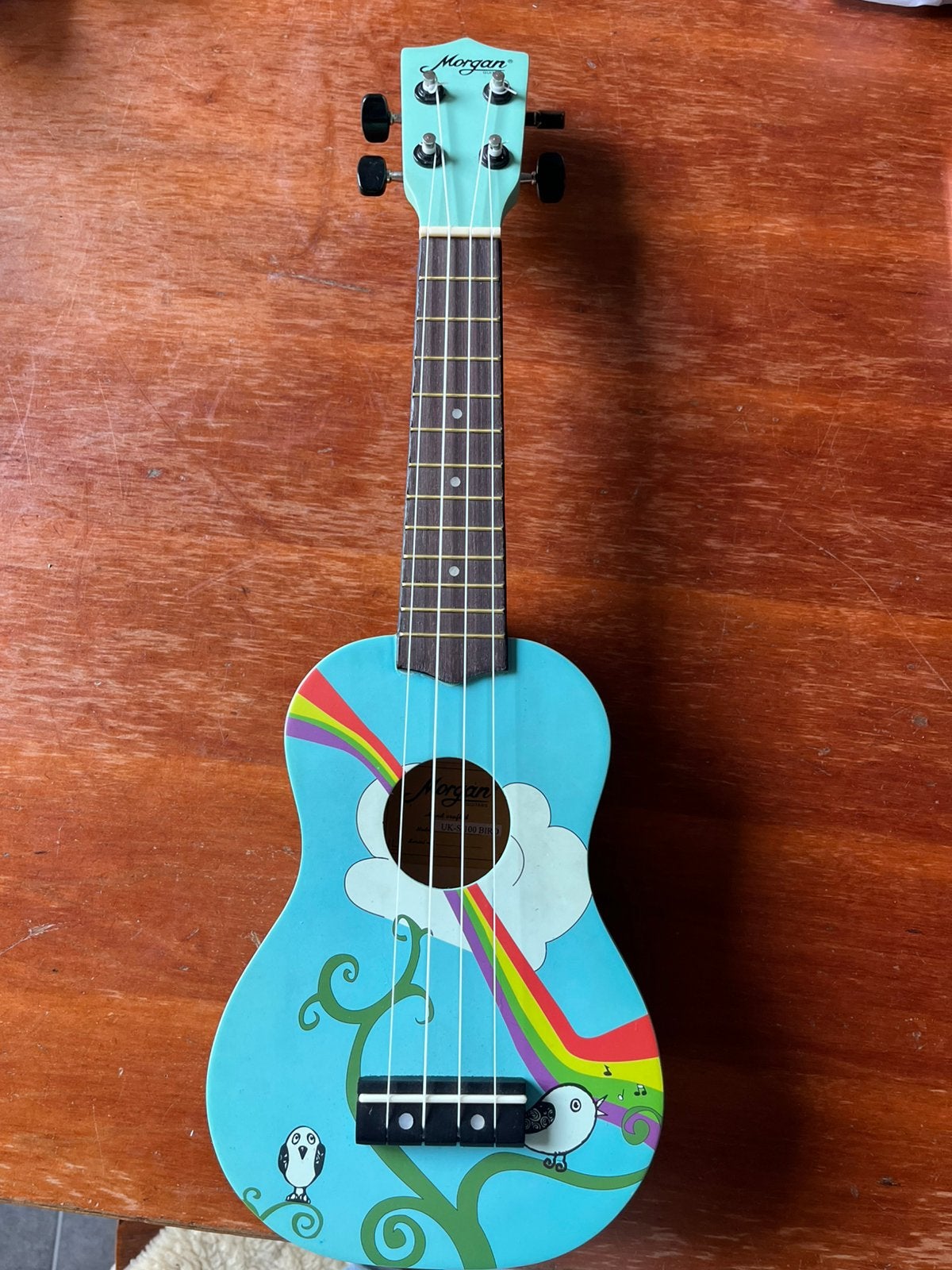 Superleuke ukelele, Muziek en Instrumenten, Snaarinstrumenten | Overige, Ophalen of Verzenden, Zo goed als nieuw, Overige typen