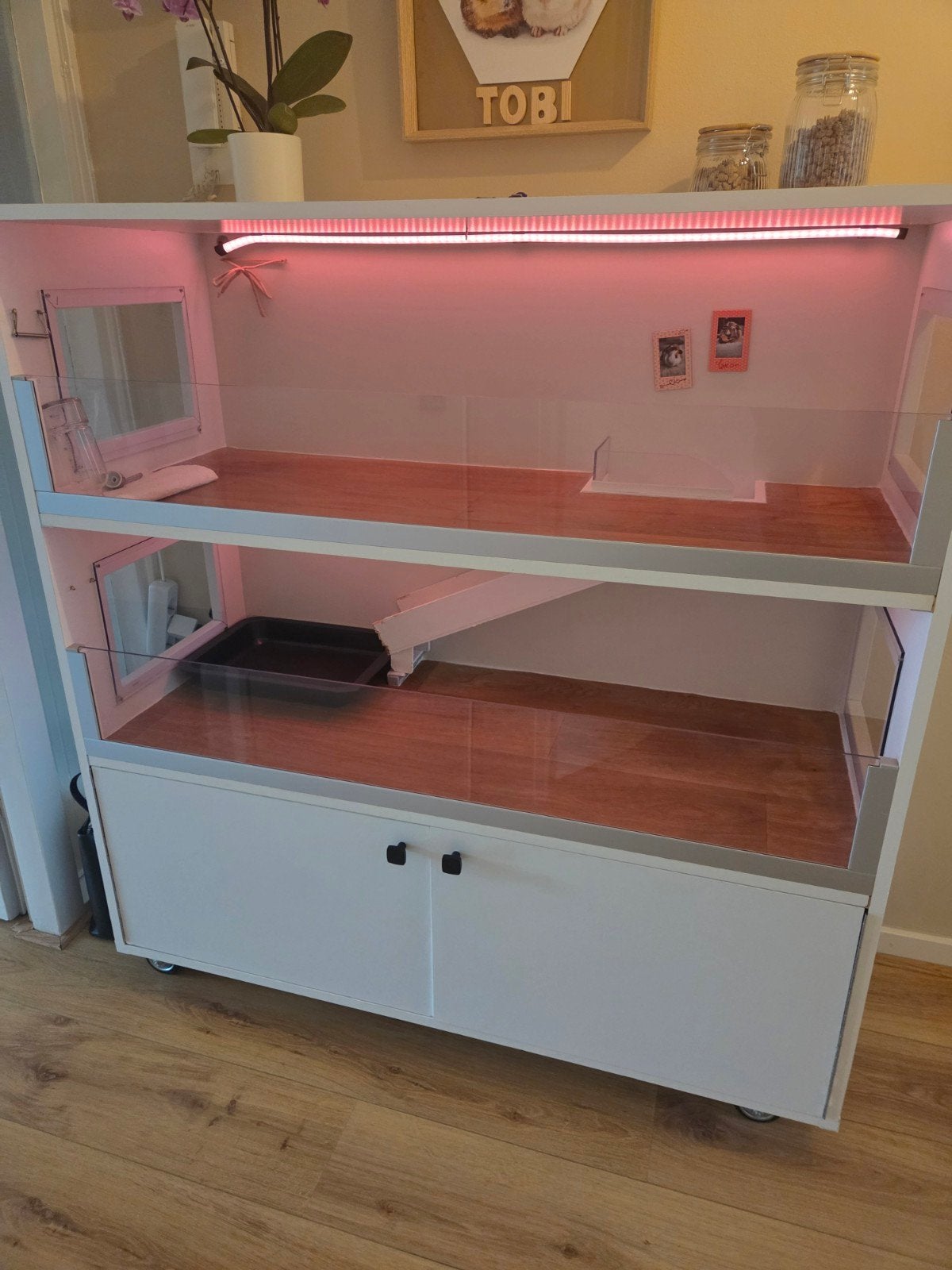 Cavia hok / flat, Dieren en Toebehoren, Knaagdieren en Konijnen | Hokken en Kooien, Ophalen, 90 cm of meer, Hok, Cavia