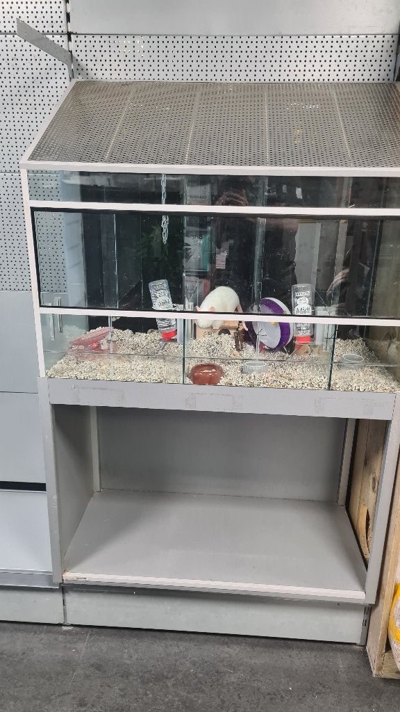 Glazen knaagdierenhok, Ophalen, Gebruikt, 60 tot 90 cm, Hamster