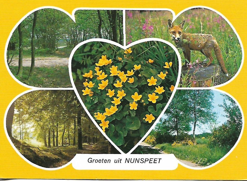 Nunspeet- -5-luik., Verzenden, 1980 tot heden, Gelopen, Gelderland