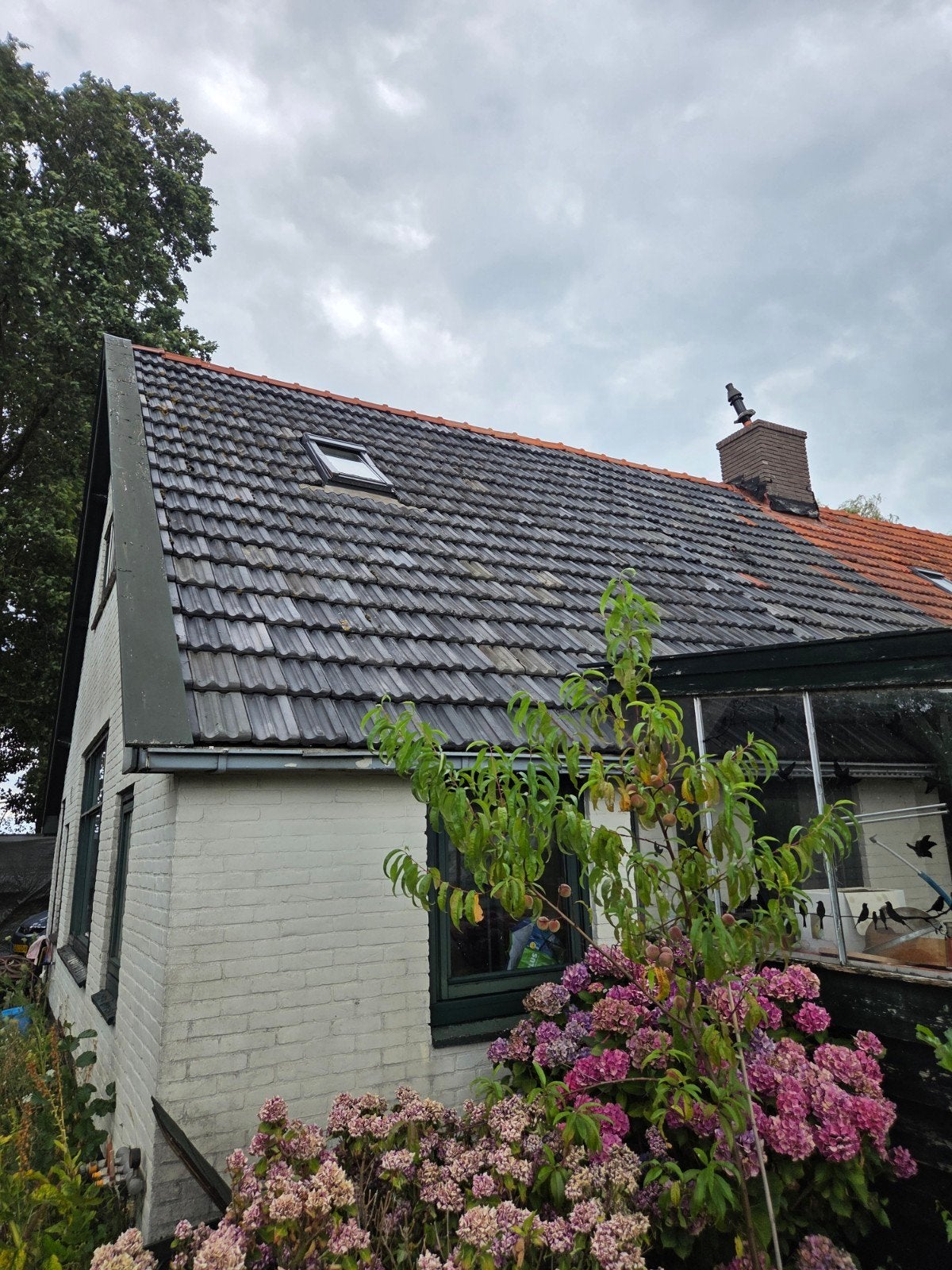 Gesmoorde blauwe vlakke muldenpan - ca. 650 stuks, Ophalen, Gebruikt, Steen of Klei, Blauw