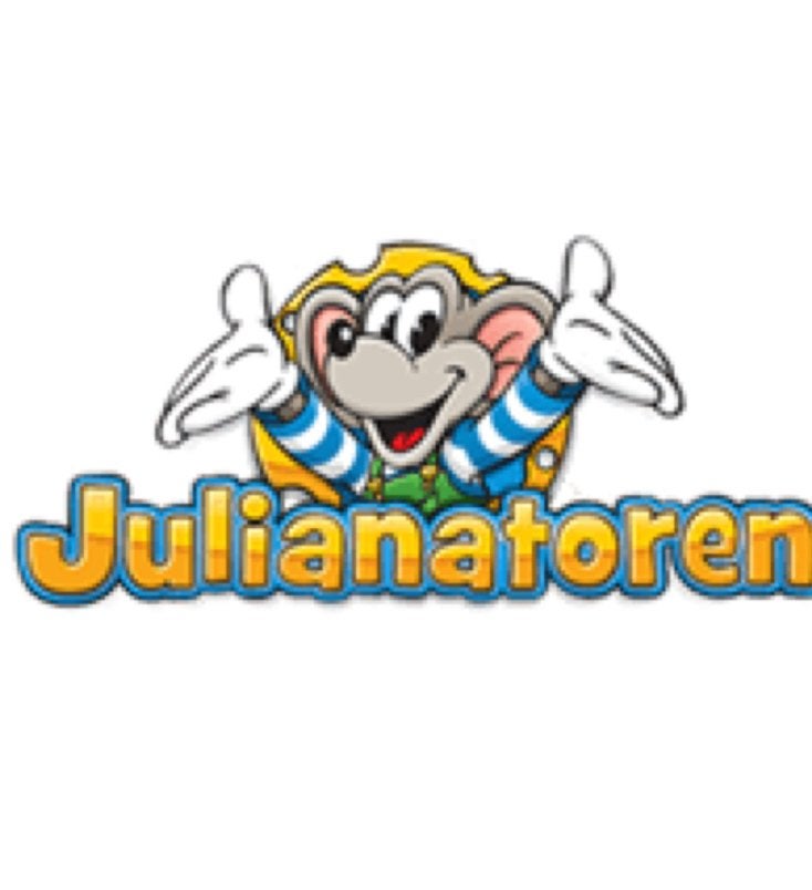 1 kaartje julianatoren, Tickets en Kaartjes, Eén persoon, Ticket of Toegangskaart