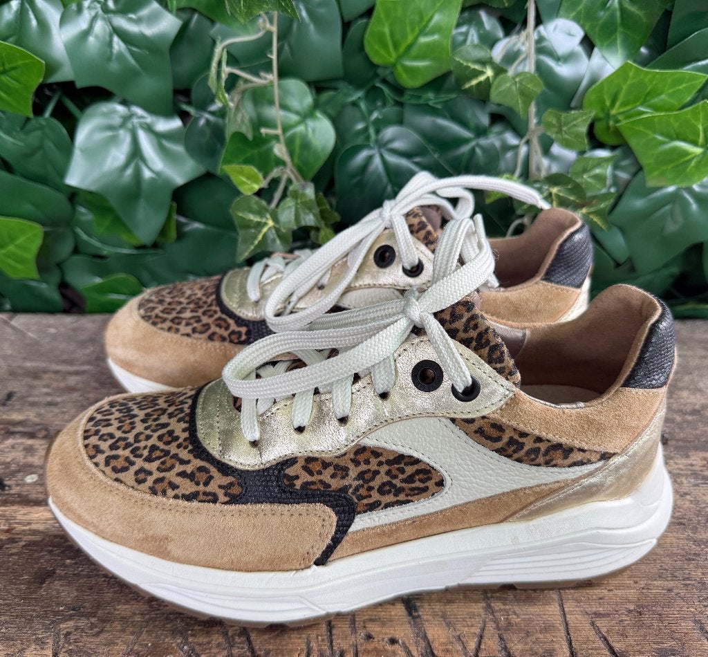 Nieuwe sneakers van Xsensible maat 38 (wijdte G), Bruin, Nieuw, Ophalen of Verzenden, Sneakers of Gympen