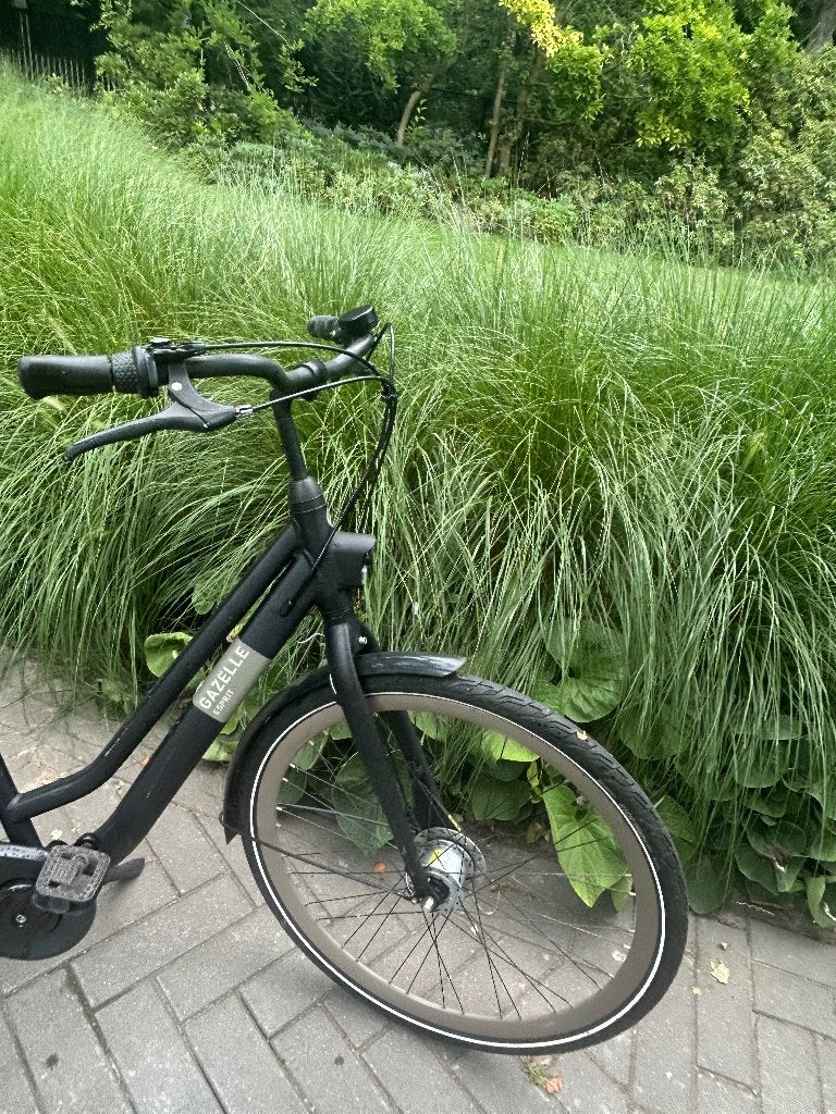 Gazelle esprit dames fiets d46 met versnelling, Ophalen, Gebruikt, Versnellingen, Minder dan 47 cm