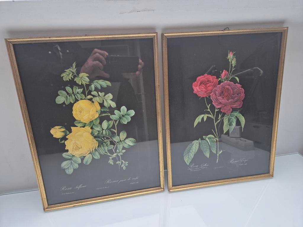 Vintage Set Redouté Rozen 60-70ies - 41,5x31cm, Ophalen of Verzenden, Huis en Inrichting