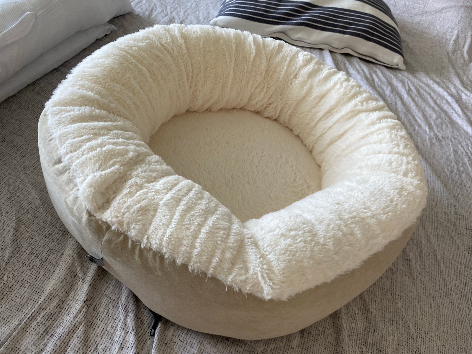 Kattenmand nieuw, Ophalen, Nieuw