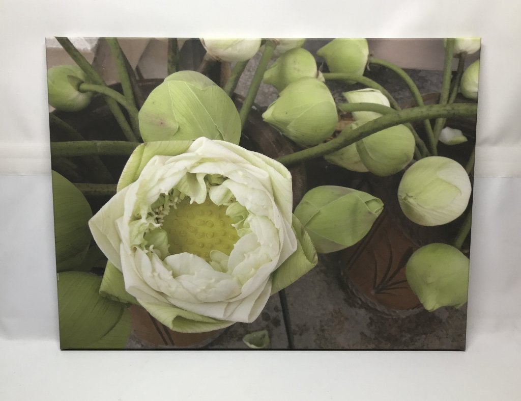 Canvasafbeelding op houten frame, 80 x 60 cm, Ophalen, Gebruikt, 75 tot 100 cm, Print