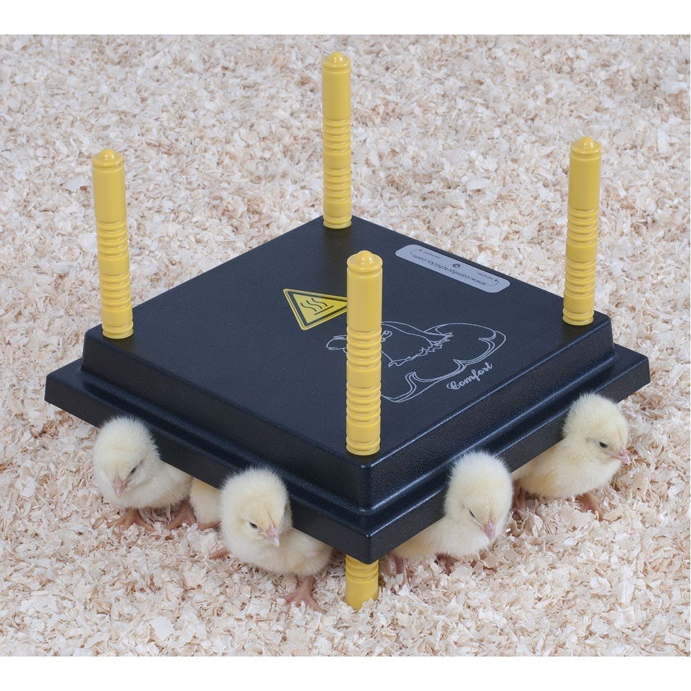 Comfort Warmteplaat (25x25 cm) voor 15-20 Kuikens, Info@kippenleven.nl, 8624TX, Uitwellingerga, Overige typen, Nieuw