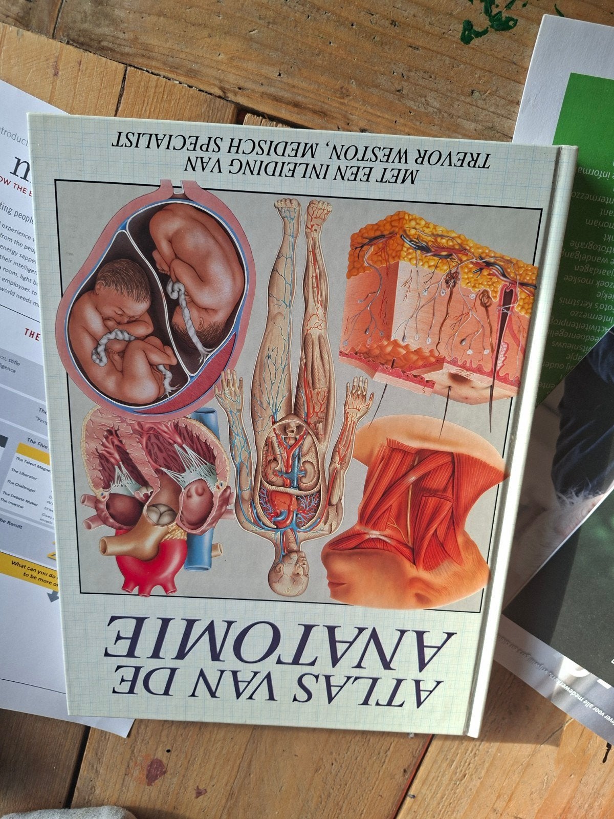 Atlas van de Anatomie - Trevor Weston, Boeken, Studieboeken en Cursussen, Trevor Weston, Zo goed als nieuw, Beta, HBO