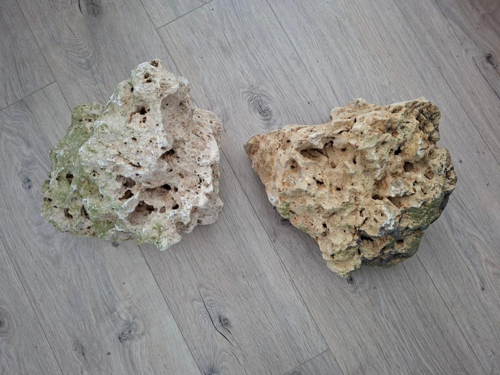 2 grote stukken maansteen, Ophalen, Gebruikt, Plant(en), Steen of Hout