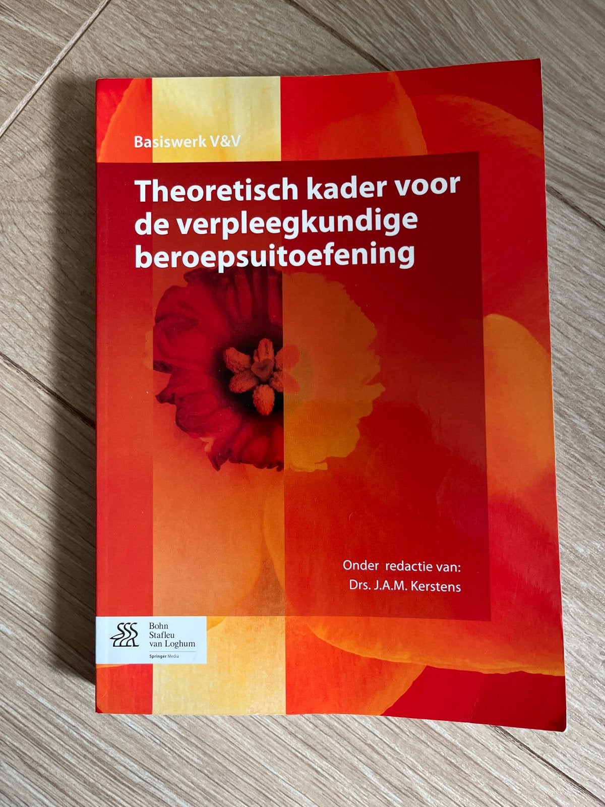 Theoretisch kader verpleegkundige beroepsuitoefening, Ophalen of Verzenden, Gamma, Zo goed als nieuw, HBO