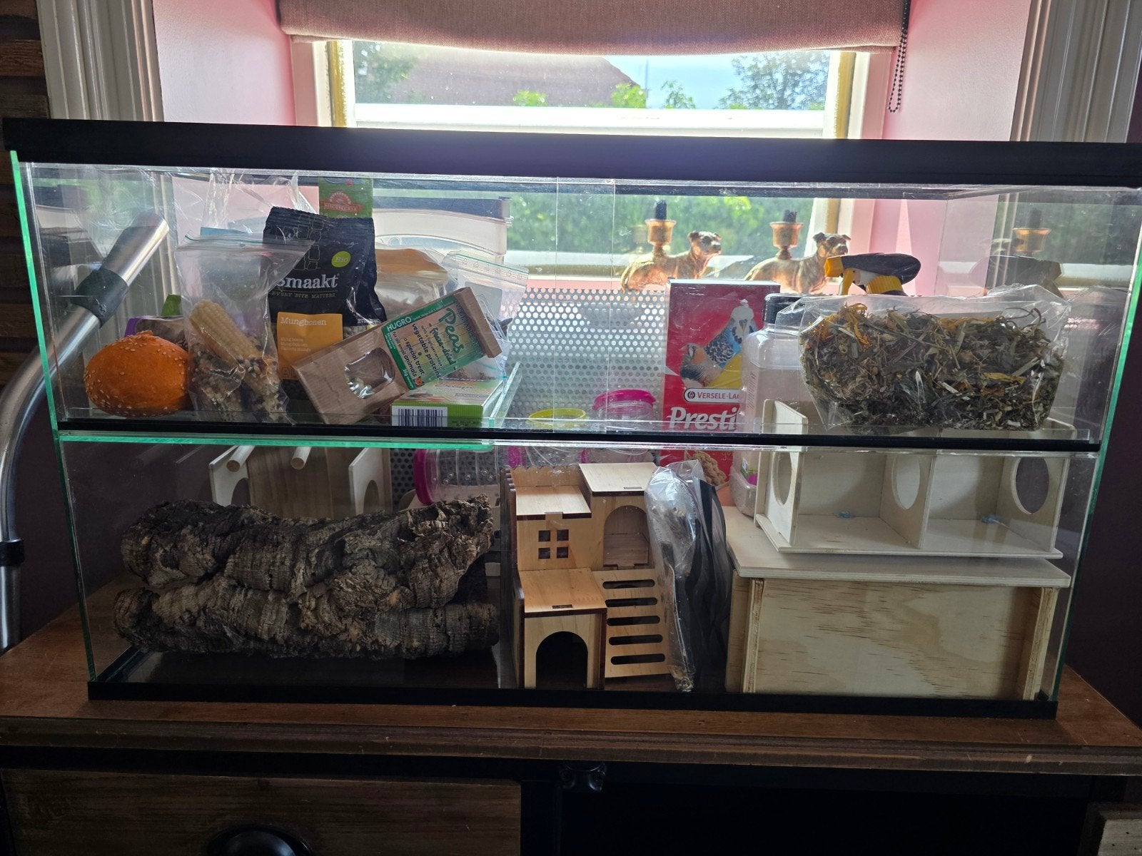 Terrarium / hamsterkooi / gerbil verblijf glas, Ophalen, Gebruikt, Terrarium of Paludarium