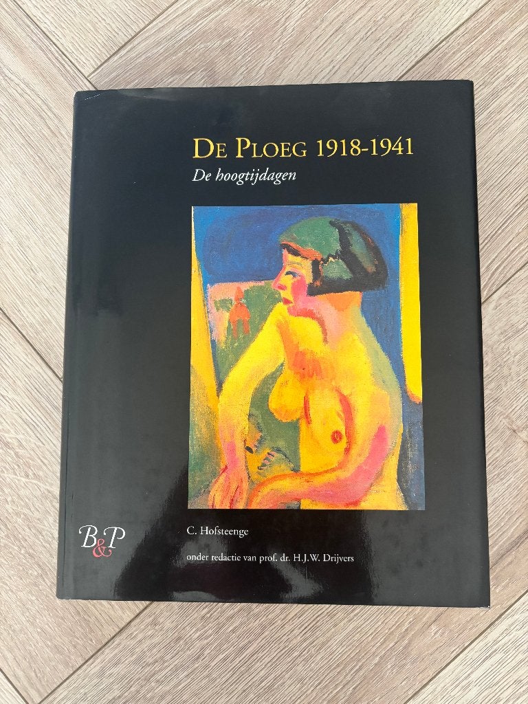 Boek; De Ploeg 1918-1941 De hoogtijdagen., Boeken, Cees Hofsteenge, Ophalen of Verzenden, Zo goed als nieuw, Schilder- en Tekenkunst