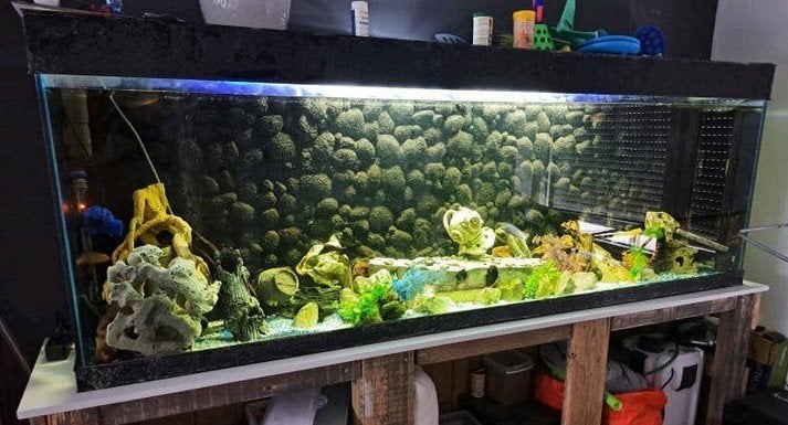 aquarium 230x40x80, Dieren en Toebehoren, Ophalen, Gebruikt, Overige typen