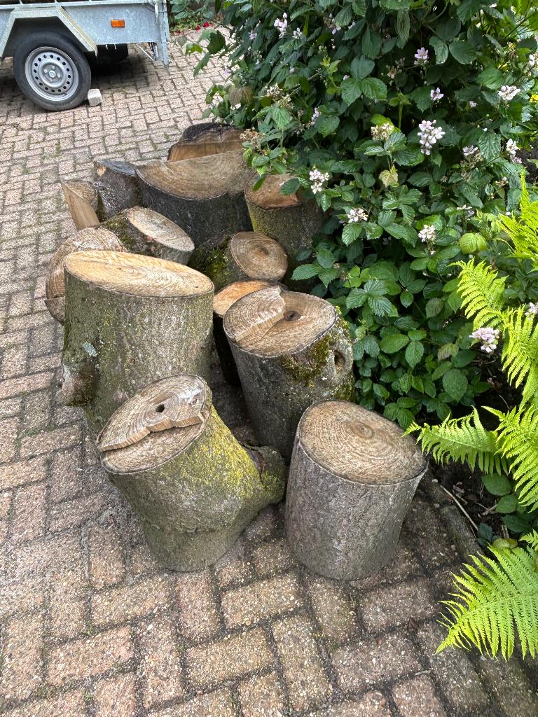 Stammen voor haardhout, Tuin en Terras, Haardhout, Minder dan 3 m³, Ophalen, Overige houtsoorten, Stammen
