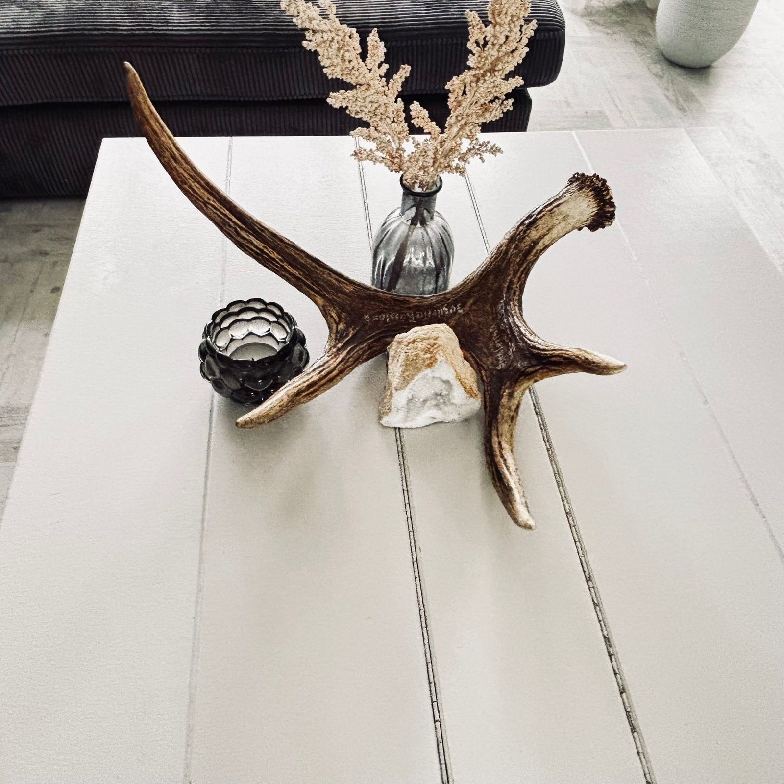 Prachtig elandgewei- Decoratief en Uniek, Ophalen, Gebruikt, Hert, Gewei of Kop