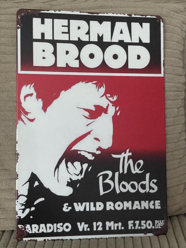 Herman Brood reclamebord (Old Look), Www.pand50.nl, Ophalen of Verzenden, Printer 29B Coevorden, Poster, Artwork of Schilderij
