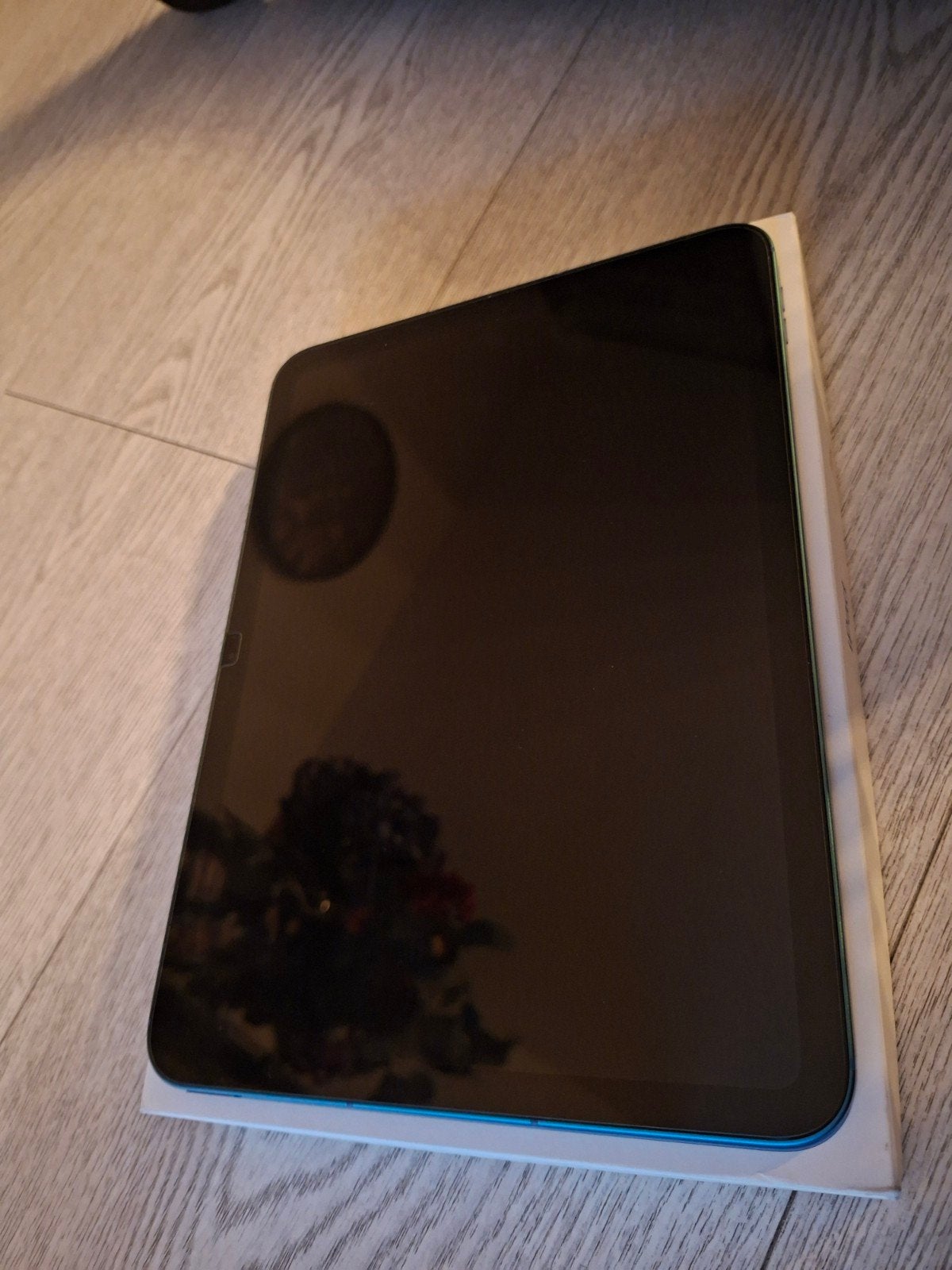 Apple iPad A16 Wi-Fi + Cellular (Blauw/Groen) - Z.G.A.N., Computers en Software, Apple iPads, Ophalen, Apple iPad, 11 inch, Zo goed als nieuw