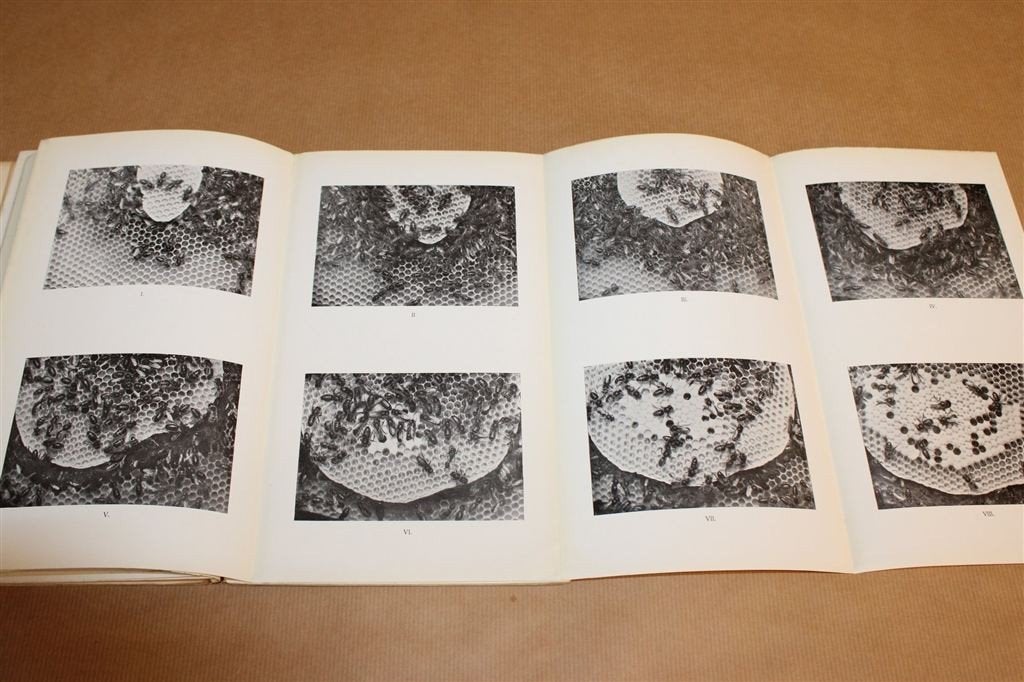 Dierenwereld 1911 — Fotoreeksen Natuurstudie [DE], Boeken, Ophalen of Verzenden, Gelezen
