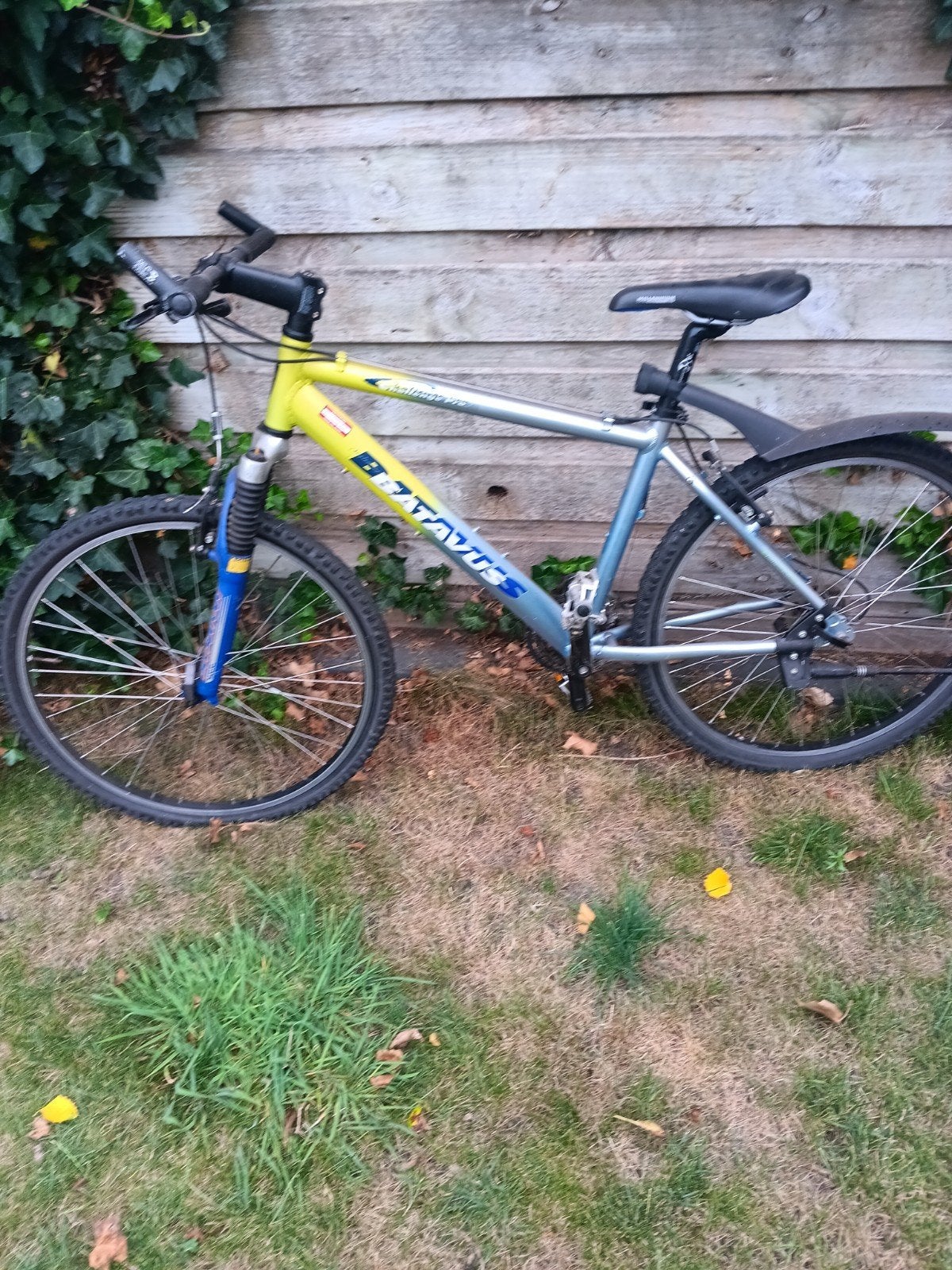 Batavus Mountainbike - Gebruikt, goede staat, Ophalen, Gebruikt, Hardtail, 45 tot 49 cm