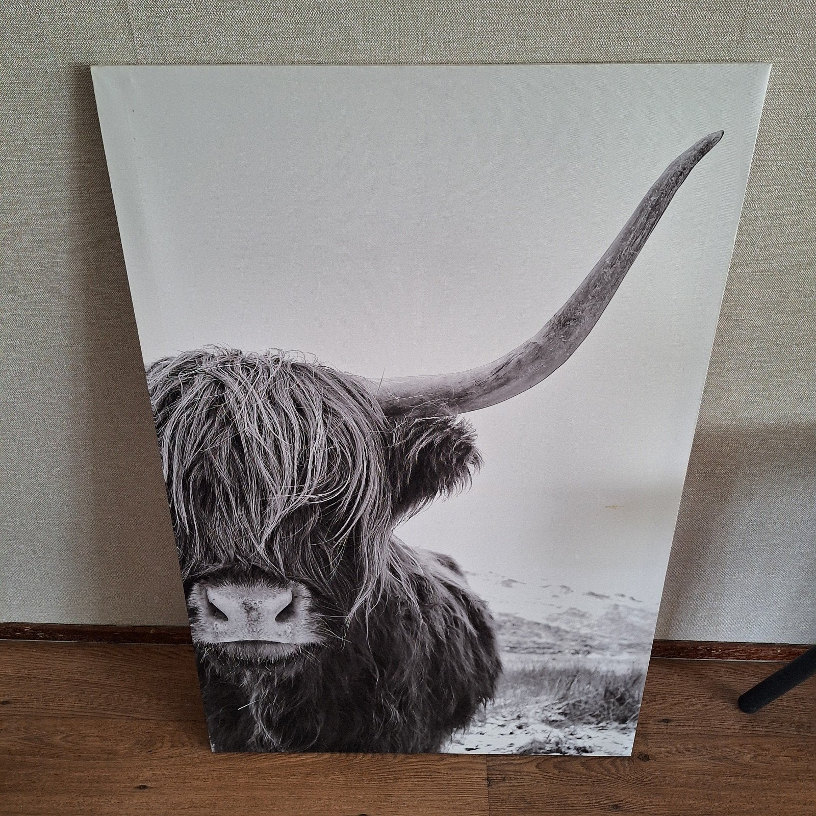 Canvas schilderij Schotse Hooglander zwart-wit, Huis en Inrichting, Ophalen, Zo goed als nieuw, Schilderij, 75 – 100