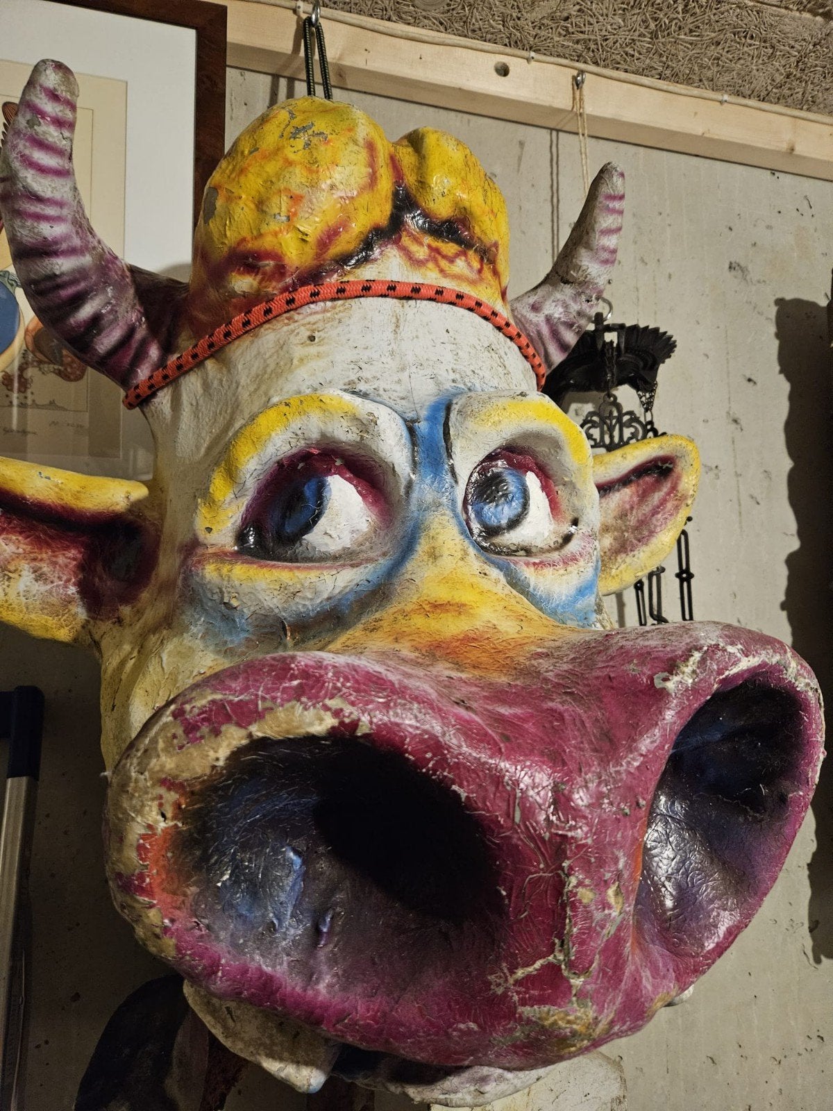 Oude karnaval koe . Papier maché, Ophalen