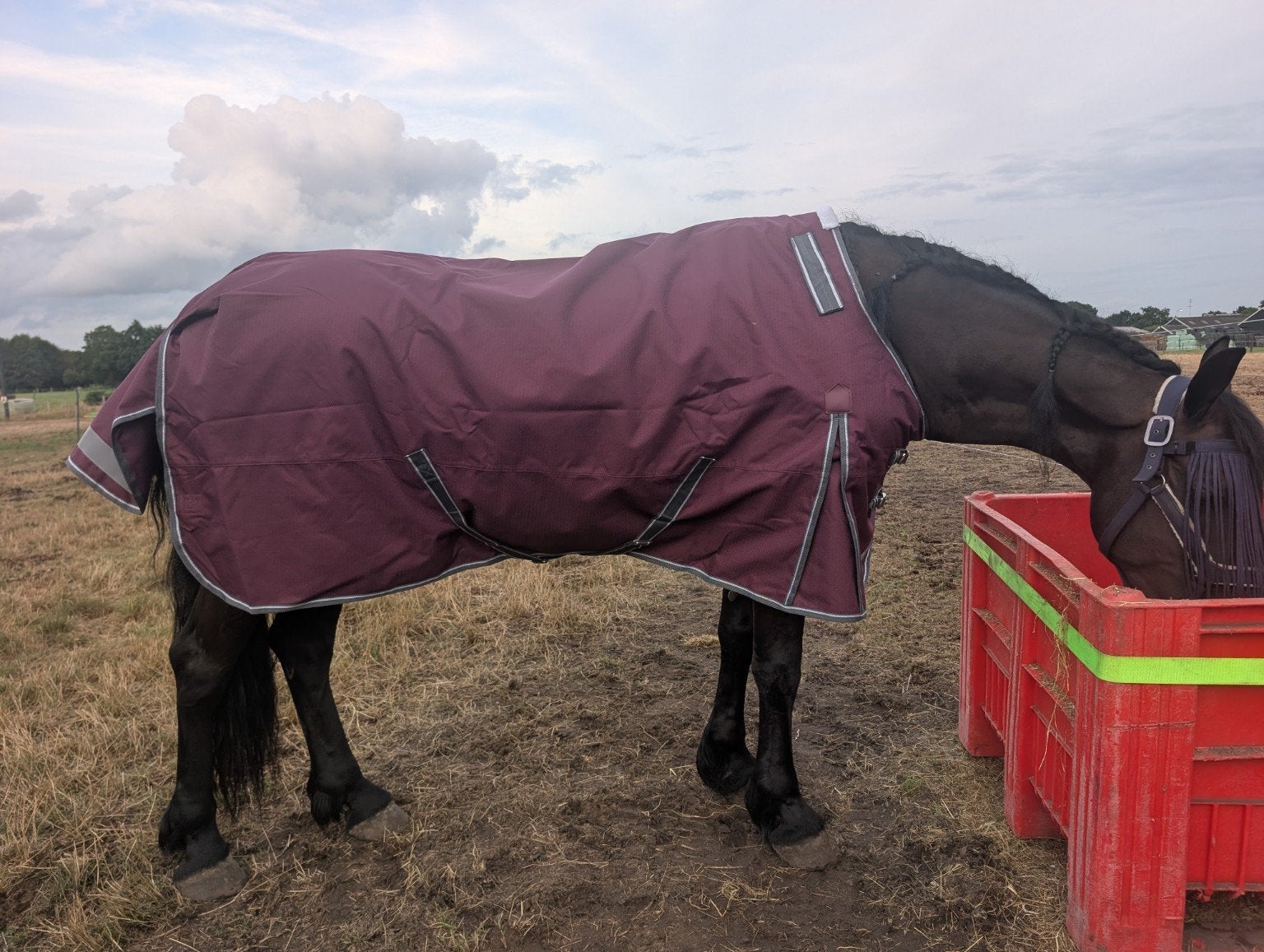 weatherbeeta Dynamic regen deken, Dieren en Toebehoren, Overige merken, 0 g, Rood, Zo goed als nieuw