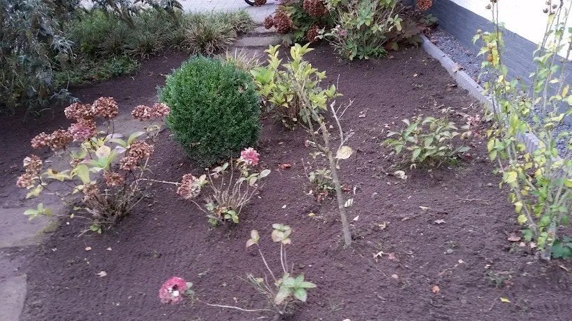 tuinman, Tuinonderhoud of Snoeiwerk