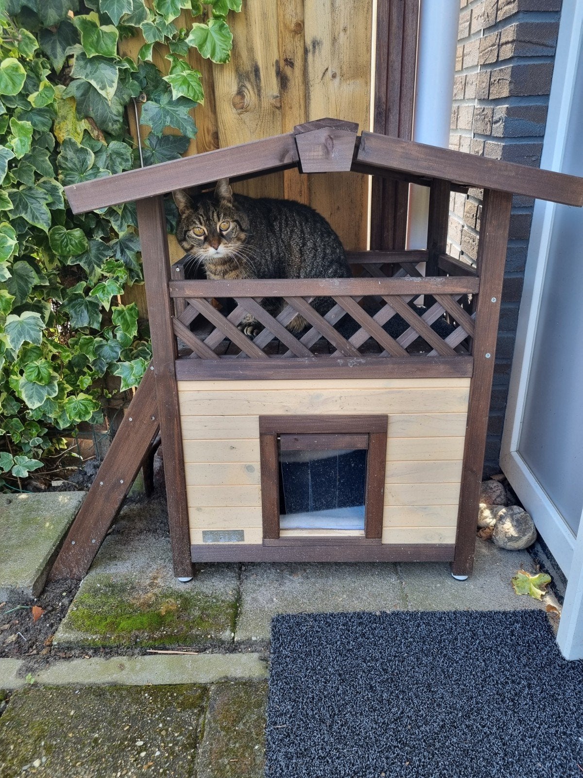 Kattenhuis (buiten), Dieren en Toebehoren, Ophalen, Gebruikt