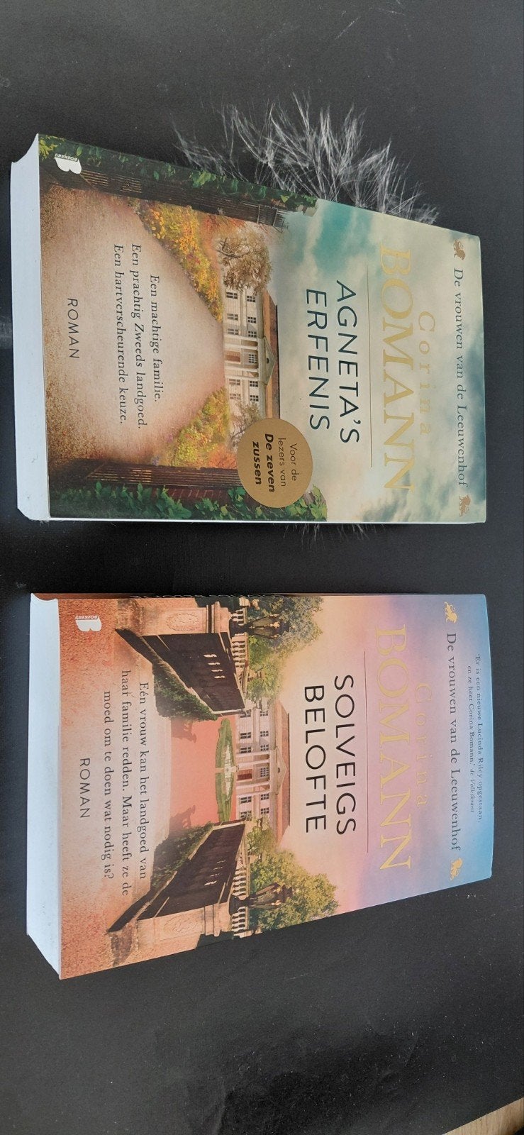 Corina Bomann - Agneta's Erfenis & Solveigs Belofte (2 boeke, Boeken, Ophalen of Verzenden, Zo goed als nieuw, Corina Bomann, Nederland