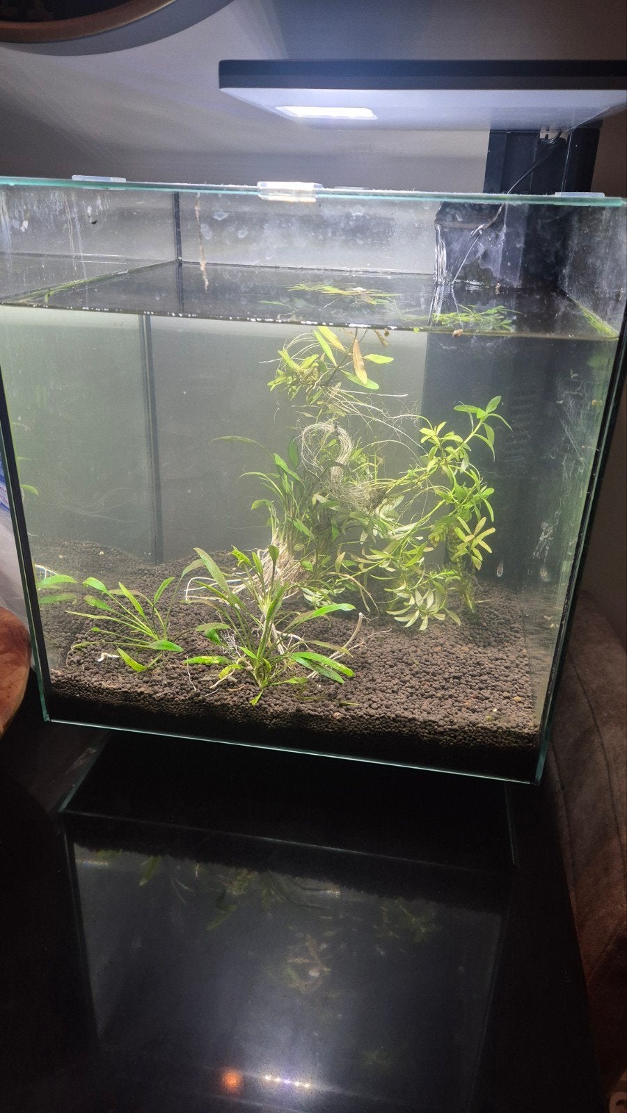 SuperFish aquarium QubiQ 30, Dieren en Toebehoren, Ophalen, Gevuld zoetwateraquarium