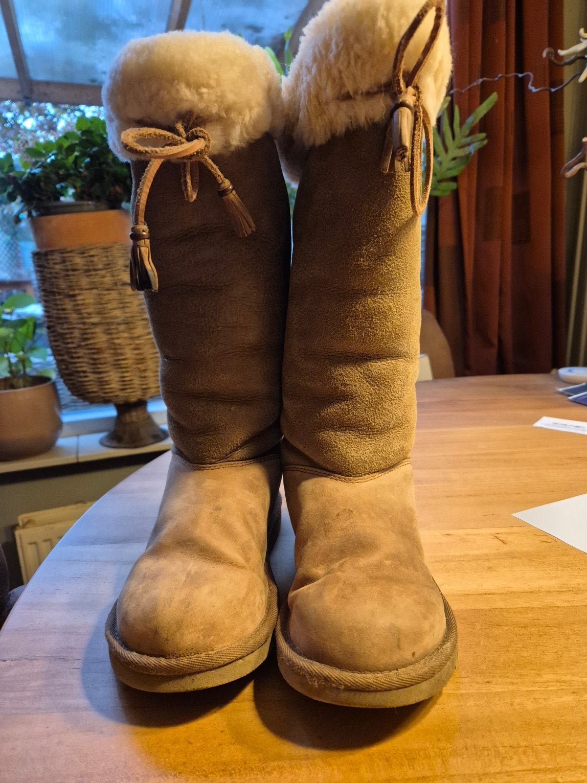 Ugg Sussex laarzen maat 38, suède in chestnut, Hoge laarzen, Bruin, Ophalen of Verzenden, Gedragen